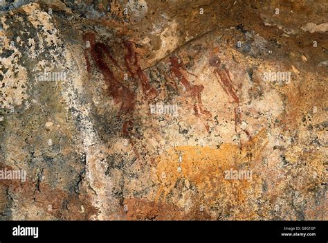 San Bushmen Cave Rock Art Paintings Kingdom Of Mapungubwe Limpopo