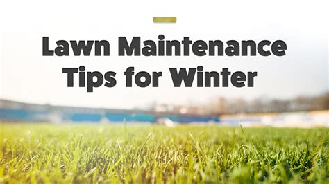 Lawn Maintenance Tips For Winter Jandb Buffalo Turf Supplies