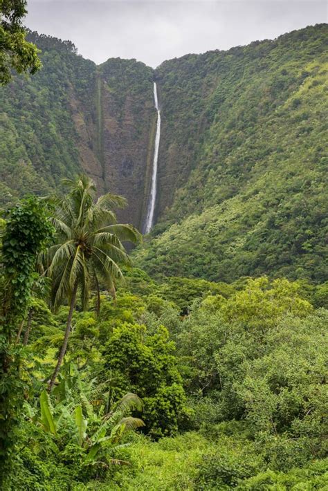 12 Most Beautiful Big Island Waterfalls How To Visit