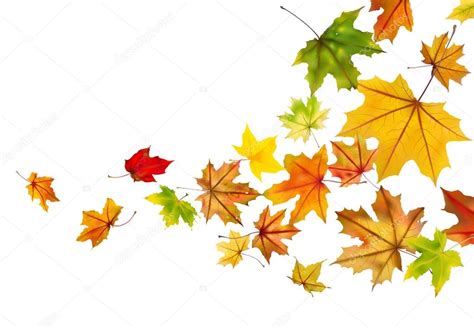 Maple Leaves Falling Stock Vector By ©ssergdibrova 52559475