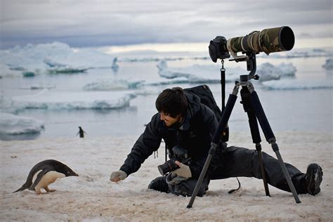 Photographers In Focus Christopher Taylor International Bird Rescue