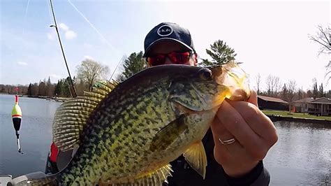 Spring Michigan Crappies And Crazy Catch Youtube