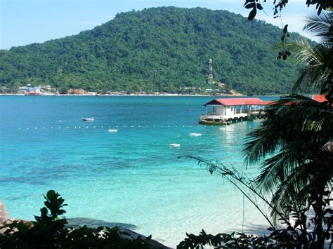 Enjoy the snorkeling and turtle eating scene in this video. Pulau Perhentian - Wikipedia Bahasa Melayu, ensiklopedia bebas