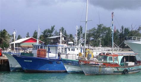 Tonga 037 Tongan Fishing Fleet