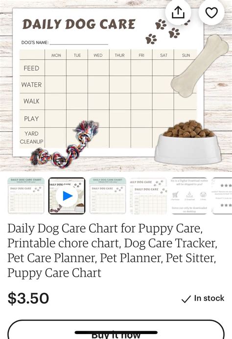 Puppy Care Pet Sitters Printable Chore Chart