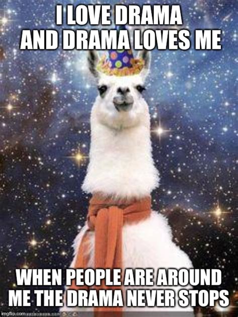 19 Llama Birthday Memes Factory Memes
