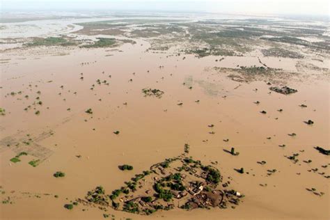Pakistan Flood Crisis Blamed Partly On Deforestation Desdemona Despair