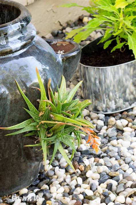 A flower bed can take many shapes and can incorporate everything from. 8 Steps to Create a Weed-Free Flower Bed - Girl, Just DIY!