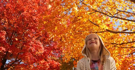 Leaf Peeping Destinations To Visit This Fall