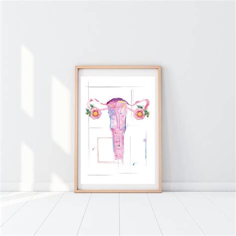 Obgyn Art Midwife Art Female Anatomy Poster Obgyn T Etsy