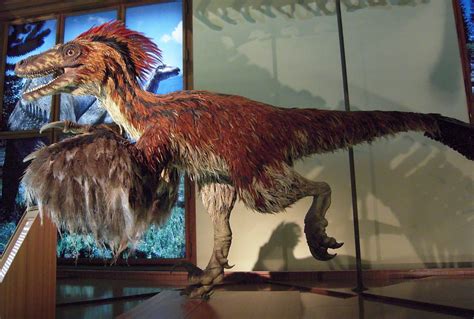 What About The Feathers Talking Scientific Accuracy And Dinosaur Sex