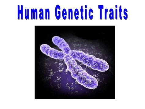 Ppt Human Genetic Traits Powerpoint Presentation Free