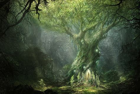 Discover 151 Lord Of The Rings Forest Best Vn