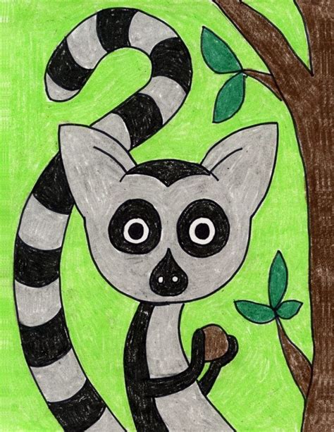 How To Draw A Lemur · Art Projects For Kids Lemur Art Sloth Art