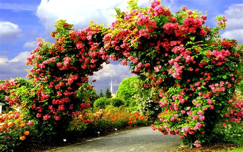 Flower Garden Background Images Hd Laeacco Flower Garden Pathway Arch