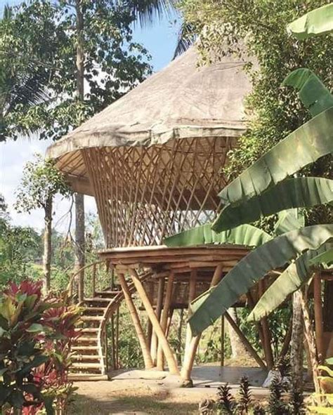 Bamboo Treehouse Bamboo House Cool Tree Houses Bamboo Building