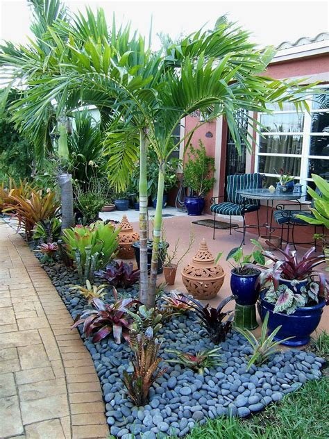 Tropical Backyard Landscaping Florida Landscaping Florida Gardening