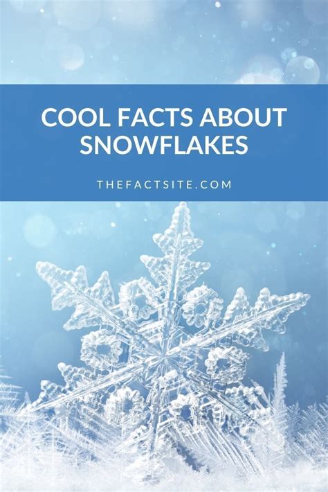 Cool Facts About Snowflakes The Fact Site Environment Facts Fun