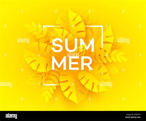 Bright Yellow Summer Background The Inscription Summer Surrounded By