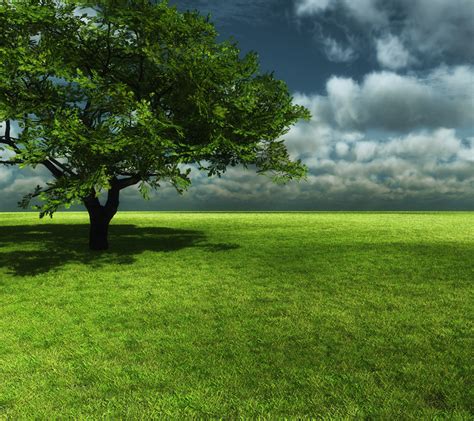Beautiful Nature And Landscape Hd Wallpapers Download For
