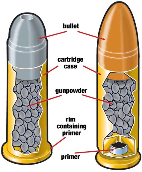 Basic Components Of Ammunition