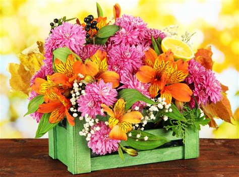 Flowers In A Box Jigsaw Puzzle In Flowers Puzzles On