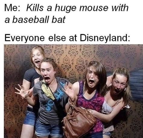 Funny Disneyland Memes