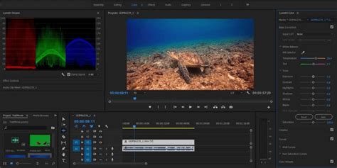 Adobe premiere is a professional video editing software designed for any type of film editing. Adobe Premiere Pro Review 2020: Powerful but Not Perfect