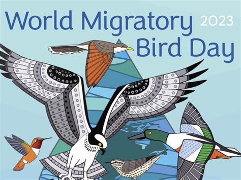 World Migratory Bird Day Vermont Institute Of Natural Science