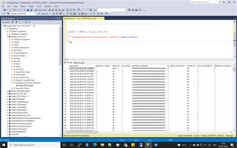 SQL Server Audit Feature Set Up