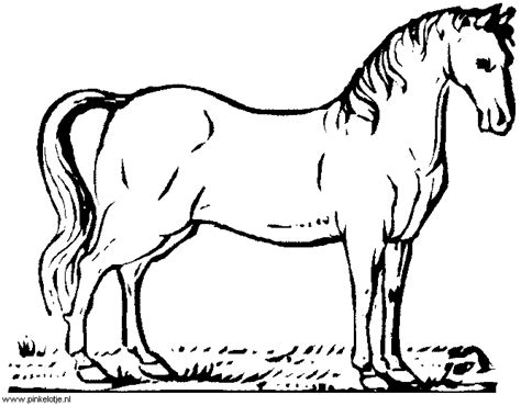 75 kleurplaat paard en veulen amazing coloriage. Best Templates: Kleurplaat Paard Met Veulen