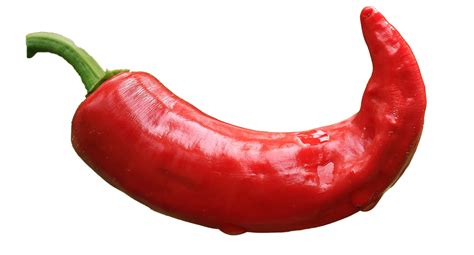 Chilli Pepper Red Free Stock Photo Public Domain Pictures