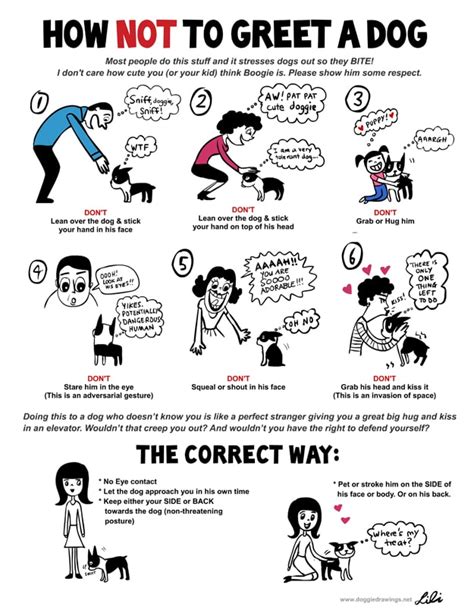 How To Understand Your Dogs Body Language Bit Rebels