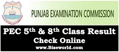Punjab Examination Commission 5th 8th Class Result 2022