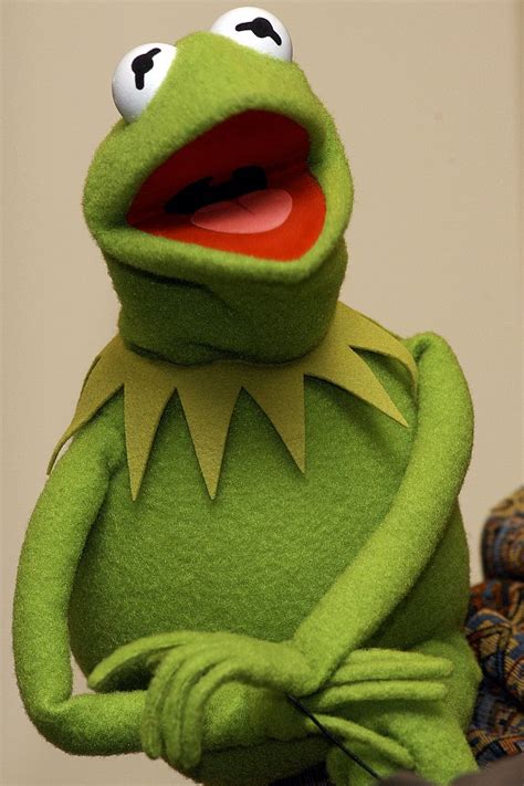 Check spelling or type a new query. Kermit the Frog - Free Wallpaper / WallpaperJam.com