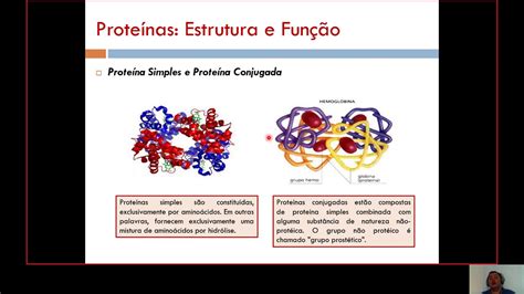 Semestre 1a Aula 02 Proteinas Estrutura E Funções Youtube