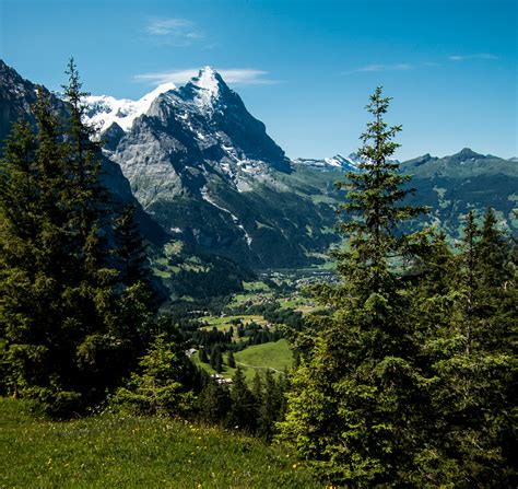 Grindelwald Alps Rock