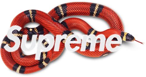 Gucci Logo Png Transparent Amp Svg Vector Freebie Supply Gucci Snake