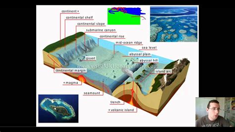 Features Of The Ocean Floor Diagram Wiring Diagram