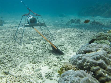 Baited Remote Underwater Video System Australian Marine Parks Science