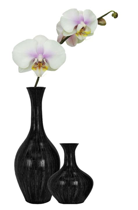 Flower Vase Png
