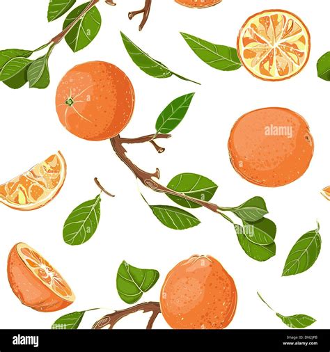 Oranges And Leaves Background Stock Vector Images Alamy