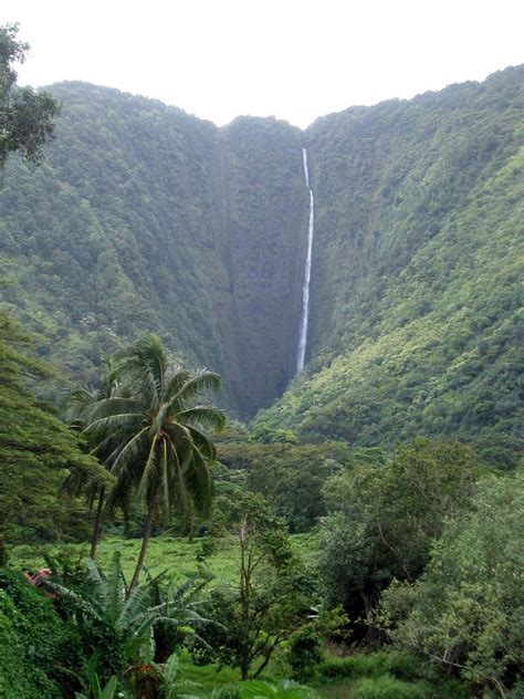 15 Amazing Waterfalls In Hawaii The Crazy Tourist