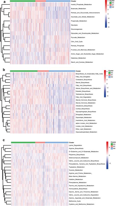 Characteristic Metabolic Pathways Observed Among Bladder Cancer