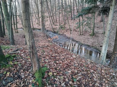 Kam Na Výlet Důlní šachta Kraskov Střední Čechy