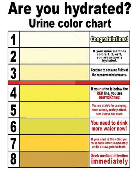 All About Cat Urine From Our Vet With A Urine Color Chart Cat World