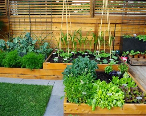 Small Vegetable Garden Design Ideas Home Design Inside