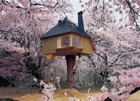 Terunobu Fujimori Built Fairy Tale Like Treehouse Among Cherry Blossoms