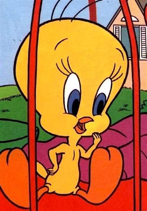 Love Tweety Bird Looney Tunes Cartoons Cartoon