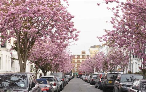 Dont Miss The Spring Blooms In Kensington And Chelsea London Perfect